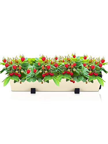 Algopix Similar Product 8 - Self Watering Planter for Vertical