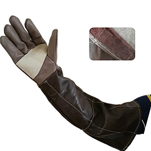 Algopix Similar Product 8 - DAN Animal Handling AntibiteScratch