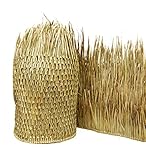 Algopix Similar Product 8 - Forever Bamboo 51110 Mexican Palm