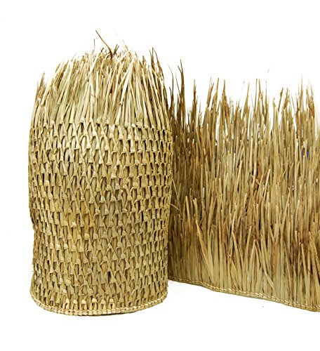 Algopix Similar Product 19 - Forever Bamboo 51110 Mexican Palm