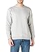 Algopix Similar Product 2 - Tommy Jeans Mens Sweatshirt Relaxed