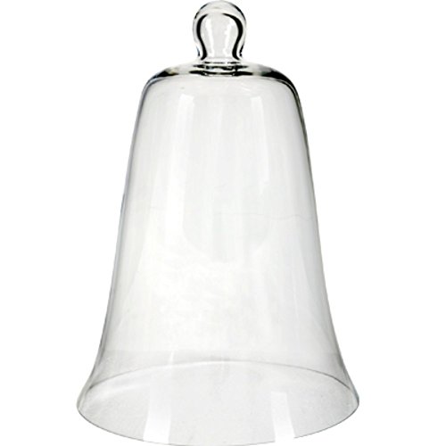 Algopix Similar Product 10 - Benzara BM165437 Transparent Classy