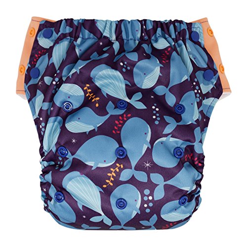 Algopix Similar Product 8 - Hybrid Cloth Diaper  Reusable Training