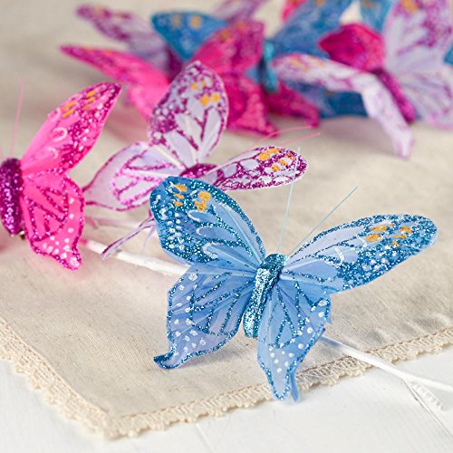 Algopix Similar Product 8 - Factory Direct Craft Assorted Color
