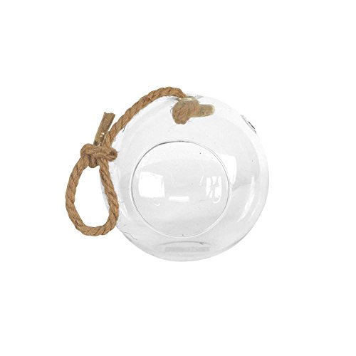 Algopix Similar Product 8 - Arcadia Garden Products Sphere 5 in x