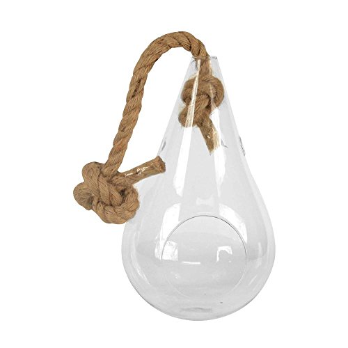 Algopix Similar Product 3 - Arcadia Garden Products Pear 7 in x 12
