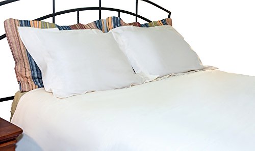 Algopix Similar Product 17 - 