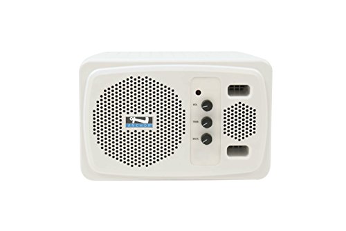 Algopix Similar Product 2 - Anchor Audio White AN130 speaker with