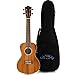 Algopix Similar Product 4 - Lanikai 4String Ukulele Chrome