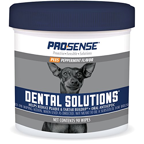 Algopix Similar Product 4 - ProSense P87073 Plus Peppermint