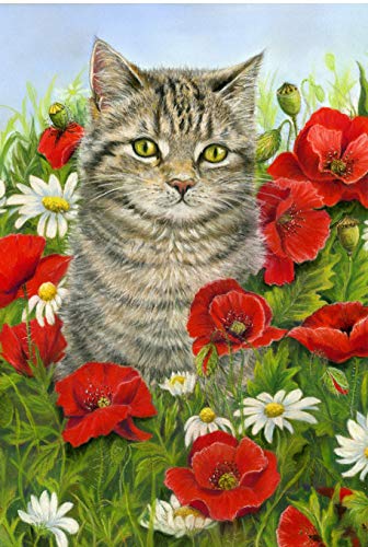 Algopix Similar Product 7 - Gray Cat - Red Flowers Garden Flag