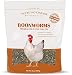 Algopix Similar Product 19 - Pecking Order Boonworm Treats Dried