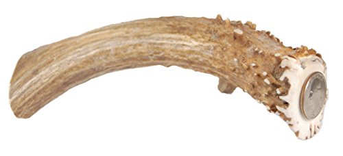 Algopix Similar Product 13 - Big Dog Antler Chews  XL Deer Antler