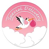 Algopix Similar Product 7 - Big Dot of Happiness Girl Special
