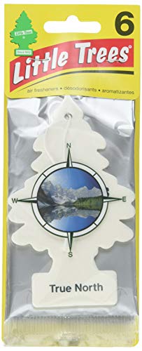 Algopix Similar Product 10 - Little Trees Car Air Freshener 6Pack