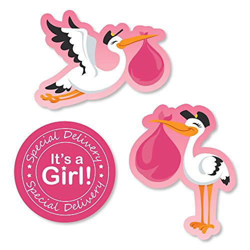 Algopix Similar Product 19 - Big Dot of Happiness Girl Special