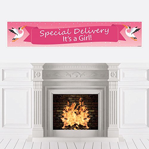 Algopix Similar Product 4 - Big Dot of Happiness Girl Special