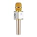 Algopix Similar Product 1 - Raycon Supreme Mic M30 Karaoke