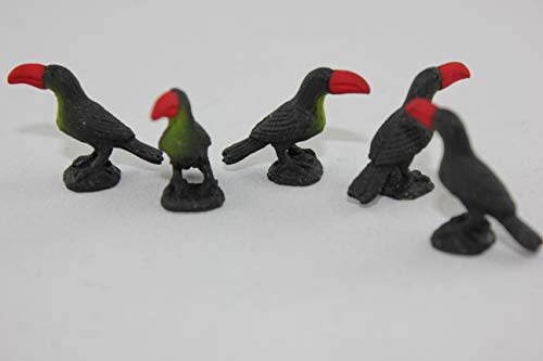 Algopix Similar Product 20 - Safari Tucanes Animals Multicoloured