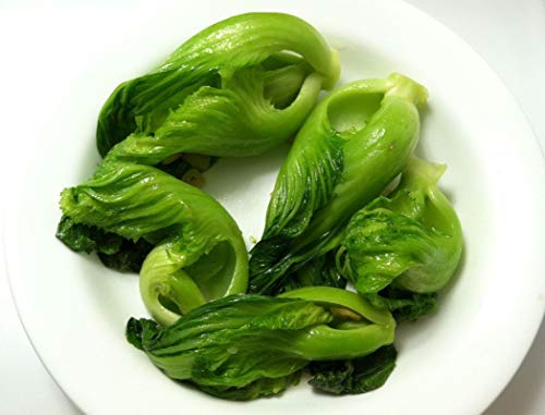 Algopix Similar Product 17 - Chinese MustardGai Choi Four Seasons