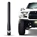 Algopix Similar Product 20 - RONIN FACTORY Truck Antenna for Ford