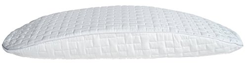 Algopix Similar Product 14 - Dream Essence SmartShape Pillow 