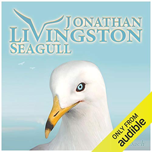 Algopix Similar Product 3 - Jonathan Livingston Seagull The New