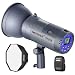 Algopix Similar Product 11 - Neewer Vision 4 300W Liion Battery
