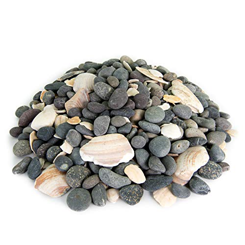Algopix Similar Product 8 - Mexican Beach Pebbles  20 Pounds of