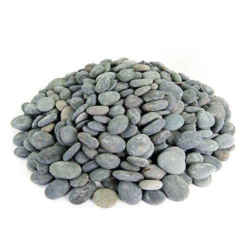 Algopix Similar Product 19 - Mexican Beach Pebbles  20 Pounds of