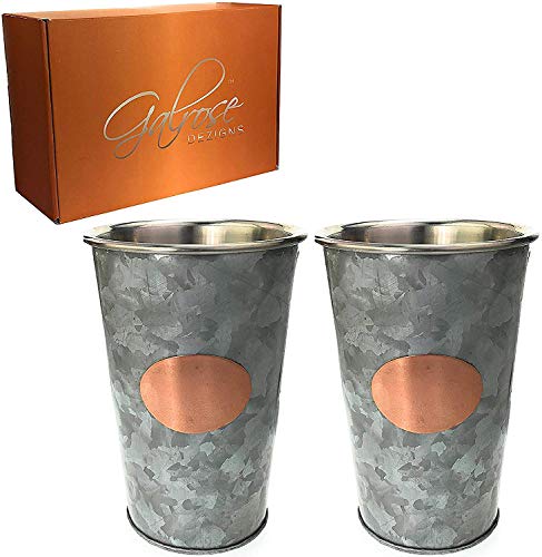 Algopix Similar Product 15 - Galrose Galvanized Iron Mint Julep Cups