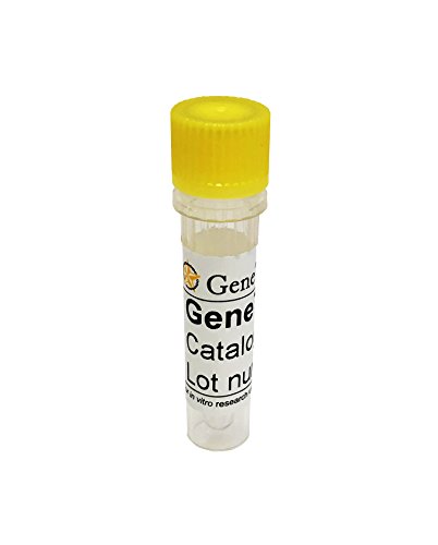 Algopix Similar Product 17 - Klotho recombinant Protein 20 g