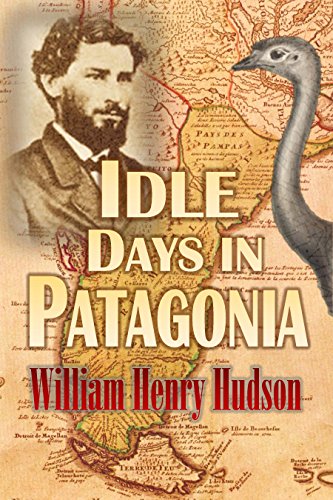 Algopix Similar Product 1 - Idle Days in  Patagonia (1893)
