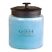 Algopix Similar Product 11 - Crossroads Seaside Escape Scented