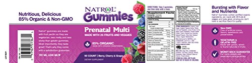 Algopix Similar Product 3 - Natrol Prenatal Multivitamin Gummy 90