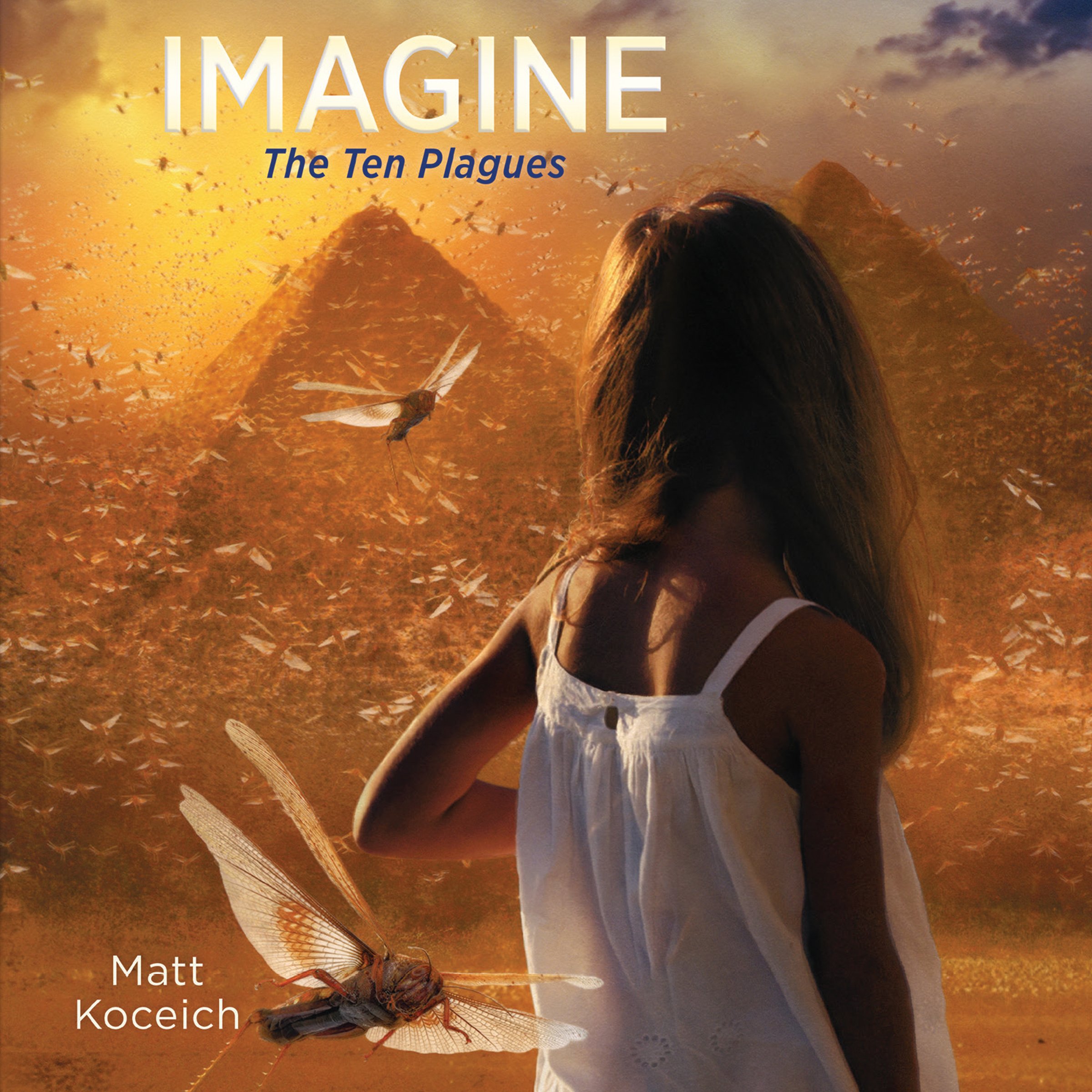Algopix Similar Product 4 - Imagine...The Ten Plagues