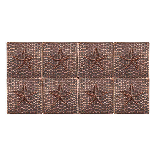 Algopix Similar Product 9 - Premier Copper Products T4DBS_PKG8