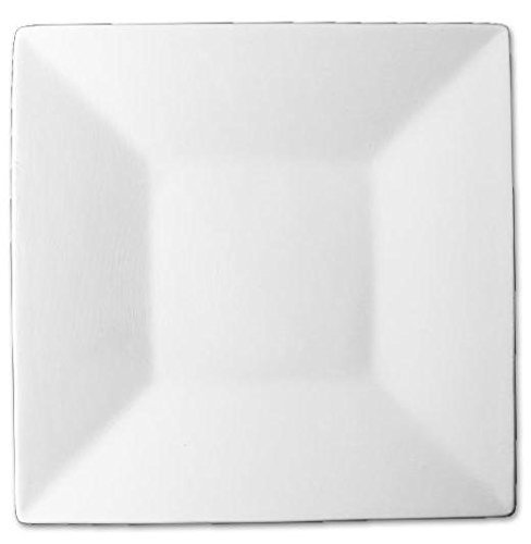 Algopix Similar Product 1 - Gently Sloping Small Square Plate 