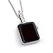 Algopix Similar Product 1 - iClasp  Pendant Adapter Accessory