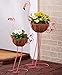 Algopix Similar Product 4 - Sets of 2 Bird Planters Flamingos
