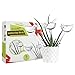 Algopix Similar Product 15 - Durable Glass Birds  Plant Watering