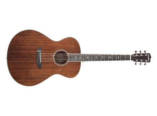 Algopix Similar Product 17 - Breedlove 2018 Stage Concerto E