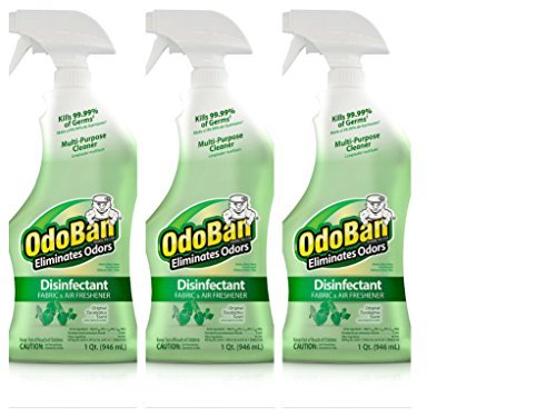 Algopix Similar Product 2 - OdoBan ReadytoUse 32 oz Spray