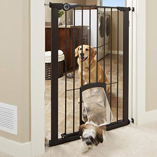 Algopix Similar Product 3 - North States MyPet 38 Wide Petgate