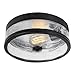 Algopix Similar Product 4 - Globe Electric 69999 Carolina Light