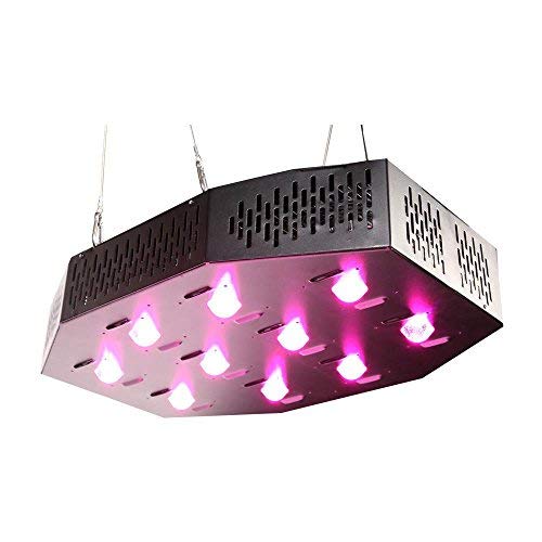 Algopix Similar Product 19 - Cirrus LED 1K, 240V