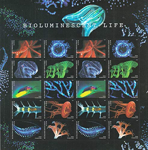 Algopix Similar Product 18 - Forever Stamp Bioluminescence 1