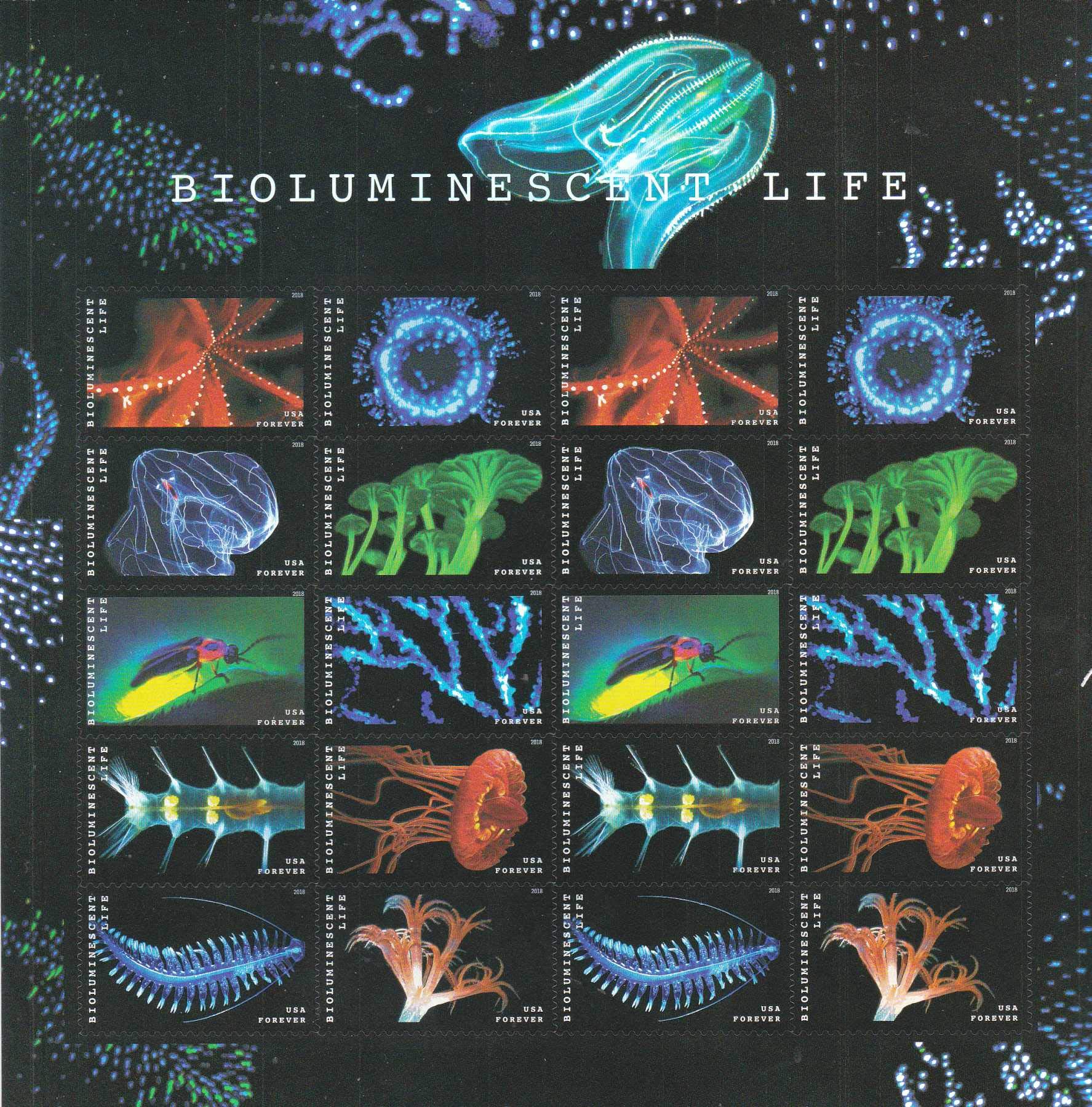 Algopix Similar Product 7 - Forever Stamp Bioluminescence 1