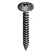 Algopix Similar Product 16 - MaxPower kl3220640 N Chipboard Screws
