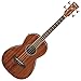 Algopix Similar Product 8 - Ibanez PNB14E - Open Pore Natural